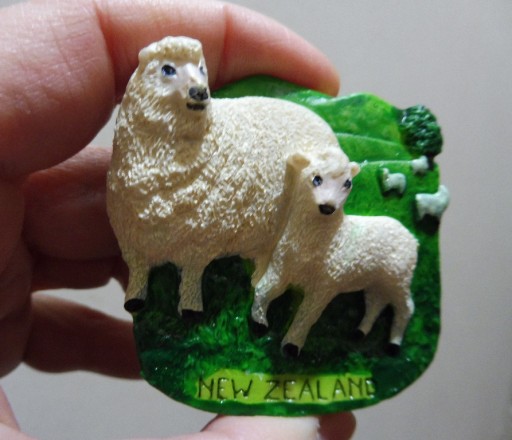 Zdjęcie oferty: Magnes na lodówkę 3D Nowa Zelandia owce