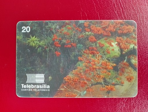 Zdjęcie oferty: BRAZYLIA karta telefoniczna 1 szt.