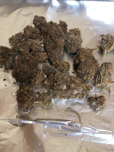 Zdjęcie oferty: Susz Cbd amnesia haze