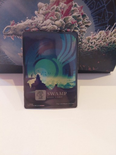 Zdjęcie oferty: MTG: Basic Land - Swamp *FOIL FULL ART* (LCI)