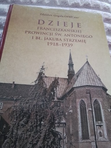 Zdjęcie oferty: Dzieje Franciszkańskiej prowincji