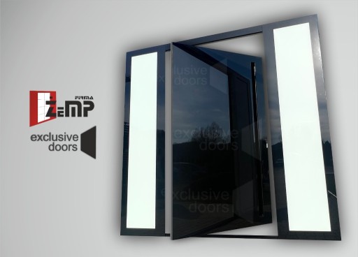 Zdjęcie oferty: Aluminiowe drzwi PIVOT EXD GLASS