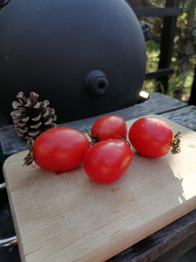Zdjęcie oferty: Nasiona Pomidora Amish Paste USA 10 nasion