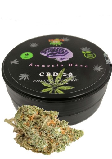 Zdjęcie oferty: Susz konopny CBD AMNESIA HAZE 2g puszka