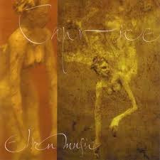 Zdjęcie oferty: Caprice Elvenmusic