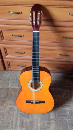 Zdjęcie oferty: Gitara akustyczna C. Giant z pokrowcem, używana