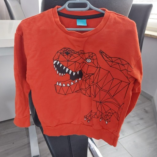 Zdjęcie oferty: Bluza chłopiec rozm. 116