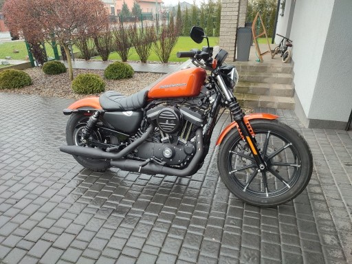 Zdjęcie oferty: Harley Davidson XL 883 N Iron