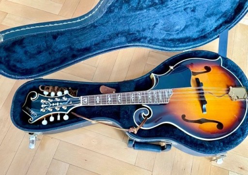 Zdjęcie oferty: Sprzedam mandolinę GOLD TONE model GM70