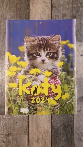 Zdjęcie oferty: Kalendarz 2024r, ścienny mały. Koty. NOWY! 