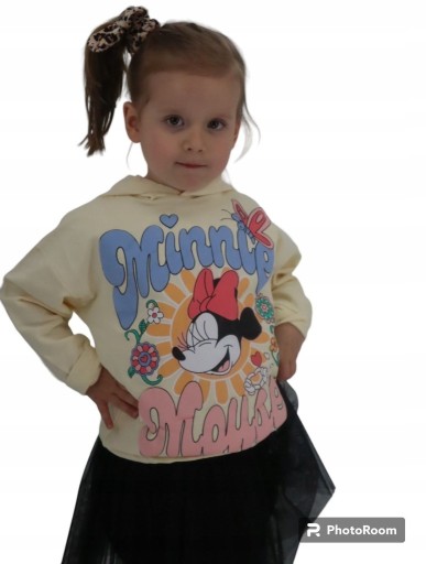 Zdjęcie oferty: bluza z kapturem 104,110, 116,128 cm