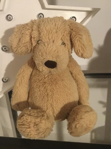 Zdjęcie oferty: Maskotka Jellycat  Pies piesek  pluszak 