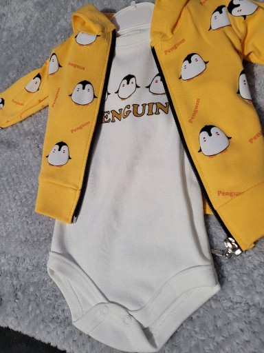 Zdjęcie oferty: ZESTAW BLUZA I BODY, Rozm.0-3 m-ce 