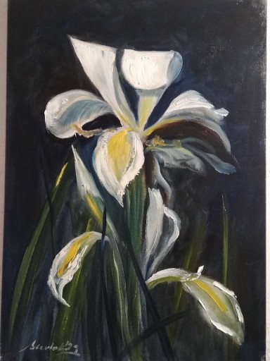 Zdjęcie oferty: ,,Irys,, 70x50cm obraz olejny Artur Sudak