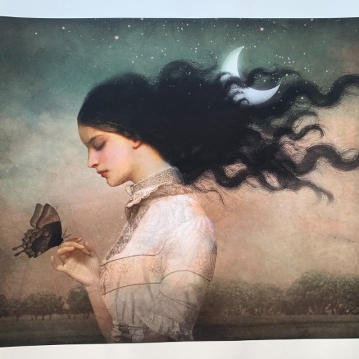 Zdjęcie oferty: GRAFIKA - CHRISTIAN SCHLOE