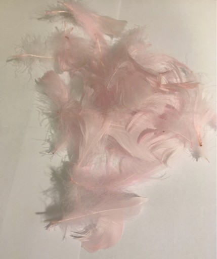 Zdjęcie oferty: Piórka dekoracyjne różowe 50g