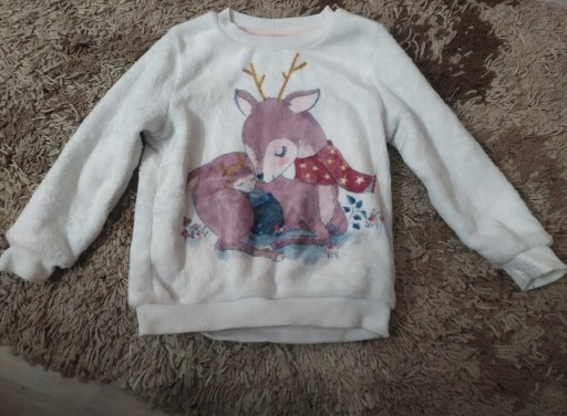 Zdjęcie oferty: Bluza dla dziewczynki Little kids 104 cm. 