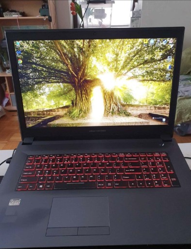 Zdjęcie oferty: Laptop gamingowy dream machines