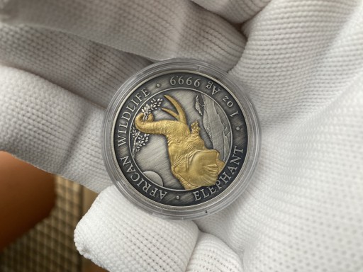 Zdjęcie oferty: Srebrna Moneta Somalijski Słoń 2023 antic\gold