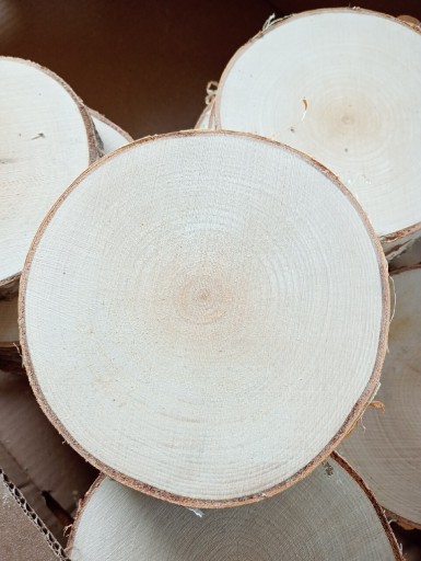 Zdjęcie oferty: Plastry drewna brzozowego ok 11-12 cm szlif