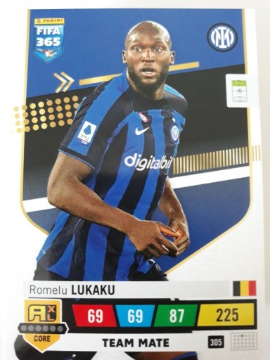 Zdjęcie oferty: Romelu LUKAKU 304 FIFA 365 2023 Team Mate