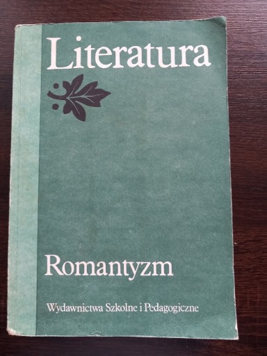 Zdjęcie oferty: Literatura Romantyzm Wydawnictwo Szkolne i Pedagog