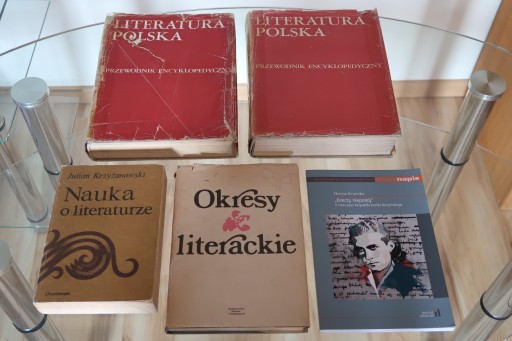 Zdjęcie oferty: LITERATURA POLSKA Nauka o literaturze OKRESY LITER