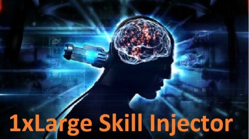 Zdjęcie oferty: Eve Online plex 1x Large Skill Injector plex