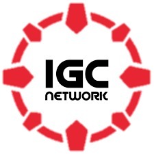 Zdjęcie oferty: IGC Network Premium Plus MuOnline