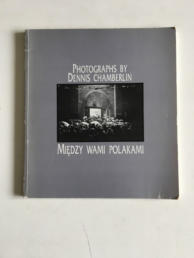 Zdjęcie oferty: DENNIS CHAMBERLIN - MIĘDZY WAMI POLAKAMI