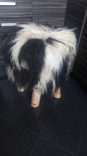 Zdjęcie oferty: Stolek pufa futro długie koza