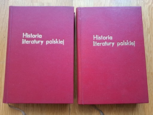 Zdjęcie oferty: Historia Literatury Polskiej w zarysie