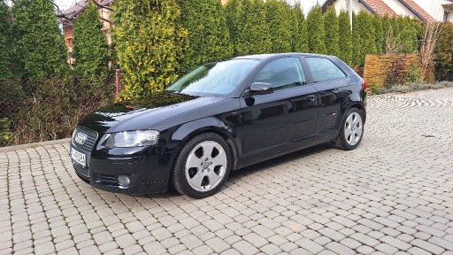 Zdjęcie oferty: Audi A3 8p Ambition 1,9 TDI