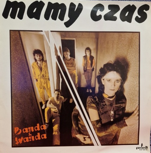 Zdjęcie oferty: BANDA  &  WANDA  -  MAMY CZAS  - Płyta winylowa