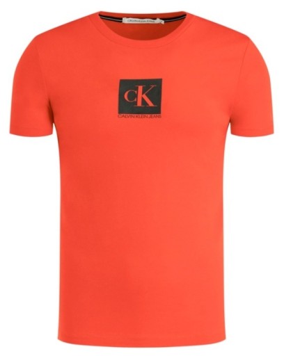 Zdjęcie oferty: T-shirt Calvin Klein