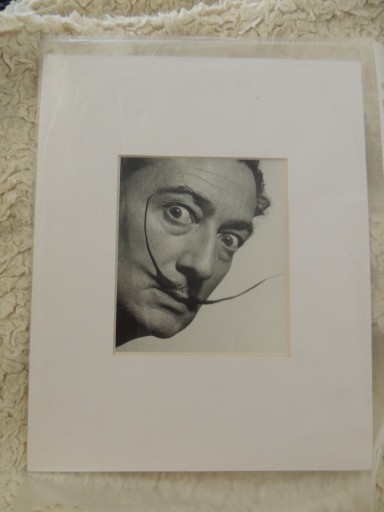 Zdjęcie oferty: Salvador Dali 