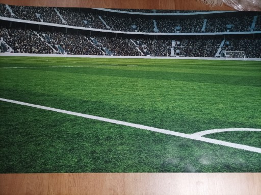 Zdjęcie oferty: Fototapeta stadion pilkarski 200x250