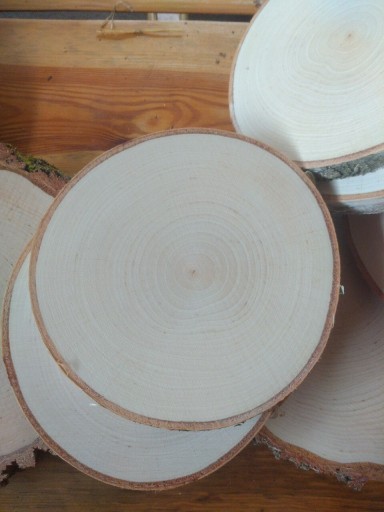 Zdjęcie oferty: Plastry brzozy drewna krążki szlif śr  ok 12 cm