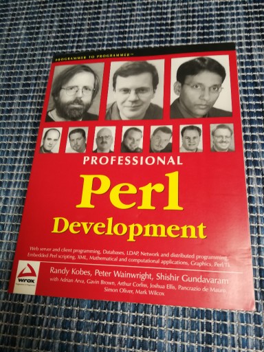 Zdjęcie oferty: Professional Perl Development