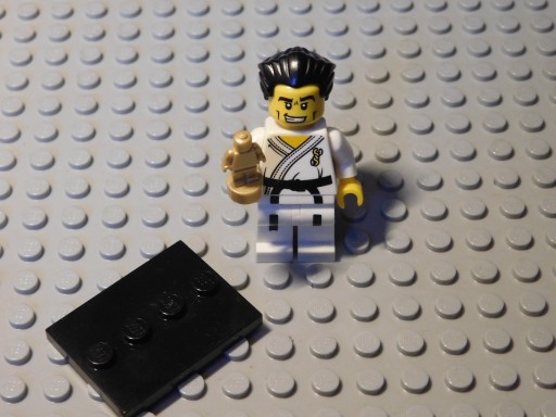 Zdjęcie oferty: LEGO Minifigures 8684 Seria 2 Karateka