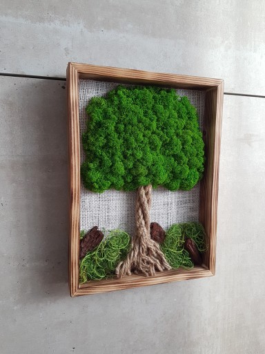 Zdjęcie oferty: Mini drzewo z mchu chrobotka 30x22 cm mech prezent