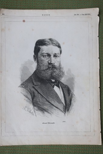 Zdjęcie oferty: Józef Brandt - 1879r. - portret, drzeworyt
