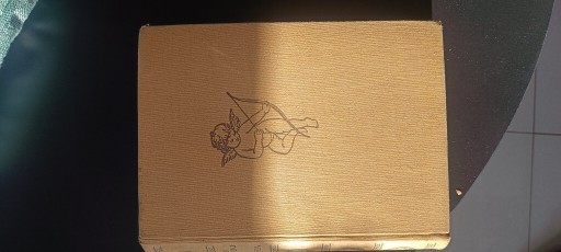 Zdjęcie oferty: Pani Walewska Powieść Historyczna z epoki napoleońskiej 