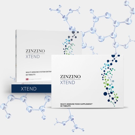 Zdjęcie oferty: ZINZINO XTEND 60 tab.