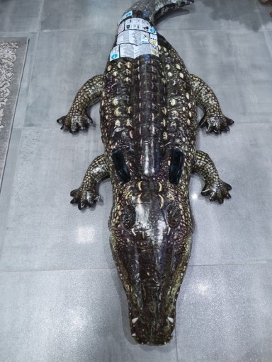 Zdjęcie oferty: Intex krokodyl aligator zabawka do pływania