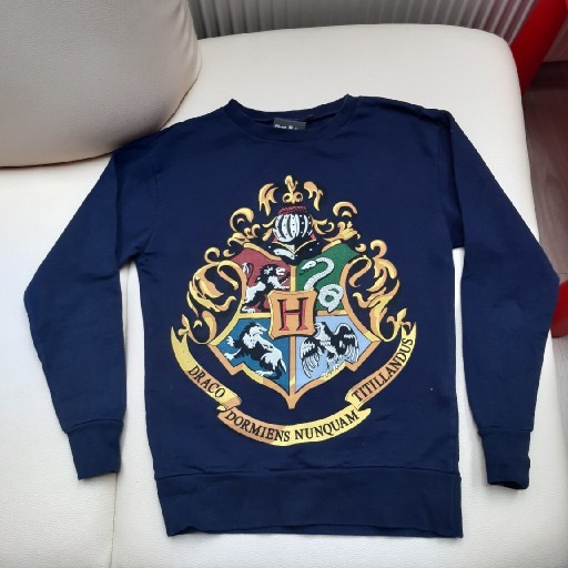 Zdjęcie oferty: Bluza Harry Potter 164 xs