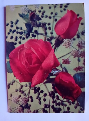 Zdjęcie oferty: Dwie pocztówki z różami, lata 70-e.
