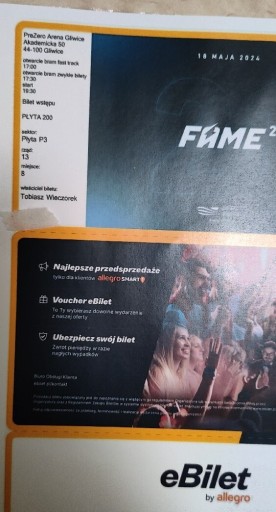 Zdjęcie oferty: Bilet fame MMA 21 Płyta 