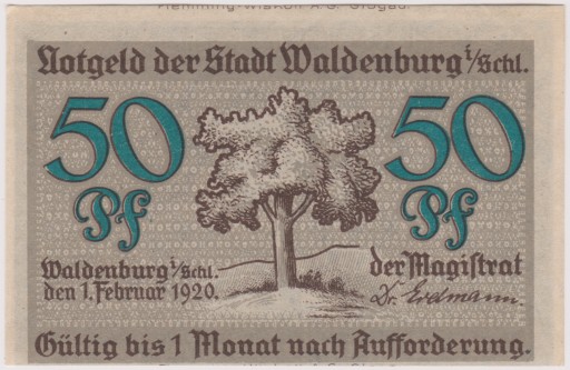 Zdjęcie oferty: Waldenburg (Wałbrzych), 50 Pf, 1.02.1920