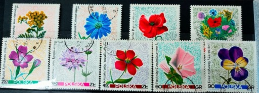 Zdjęcie oferty: kwiaty polskie zbiorek